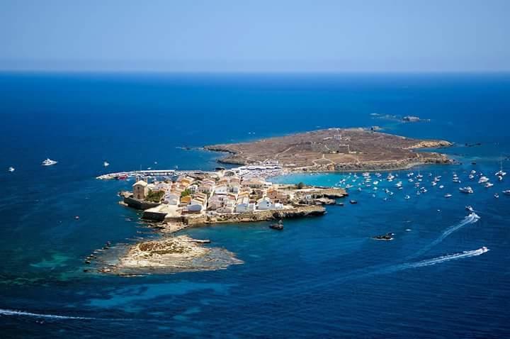 13 Rocafel 7 Playa Albufereta لقنت المظهر الخارجي الصورة